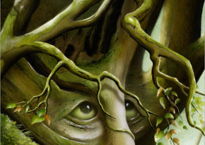 Enchanted Woods Detail 4